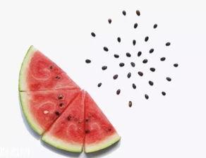 吃籽瓜吃的肚子胀,科学饮食与消化健康