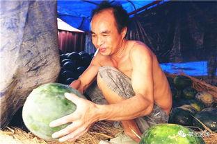 武冈吃瓜,吃瓜也能吃出风情万种