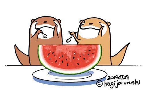 一起吃冰瓜,一起吃冰瓜，共享清凉时光