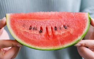 日常吃瓜网,吃瓜网带你领略明星幕后故事