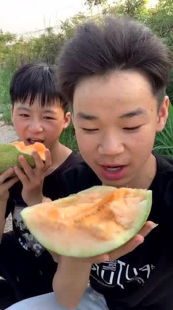 摘野生哈密瓜吃