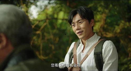 隐秘吃瓜馆解说,探寻美食背后的秘密故事