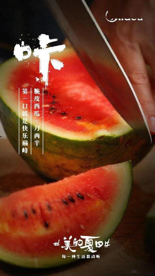 吃瓜真开心文案,揭秘“吃瓜真开心”背后的趣味人生