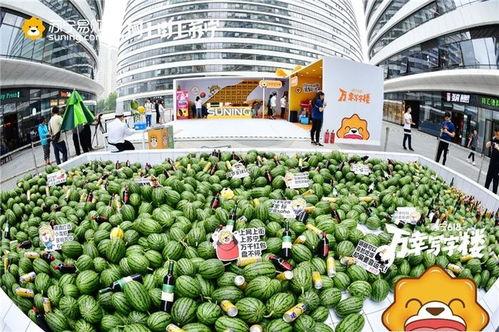 北京望京吃瓜,揭秘京城美食新地标